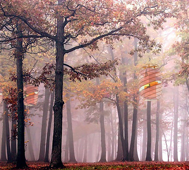 lda-treehouse-vis3 Lantern Treehouse