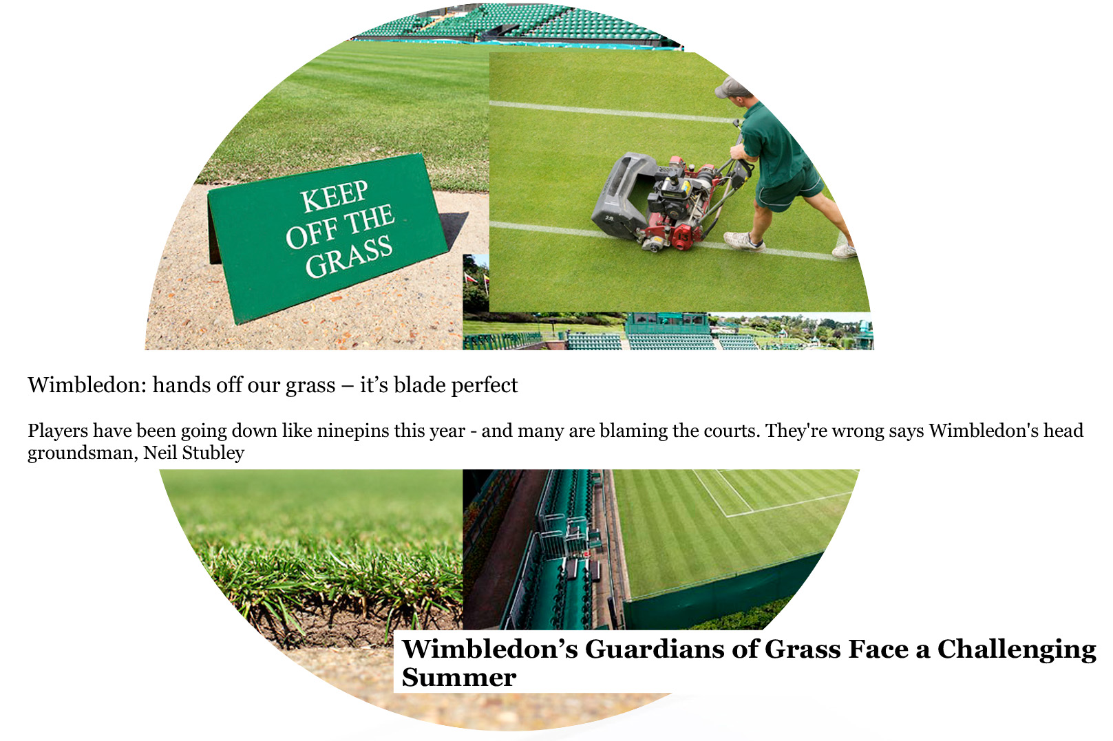 Wimbledon Grass Wimbledon Grass