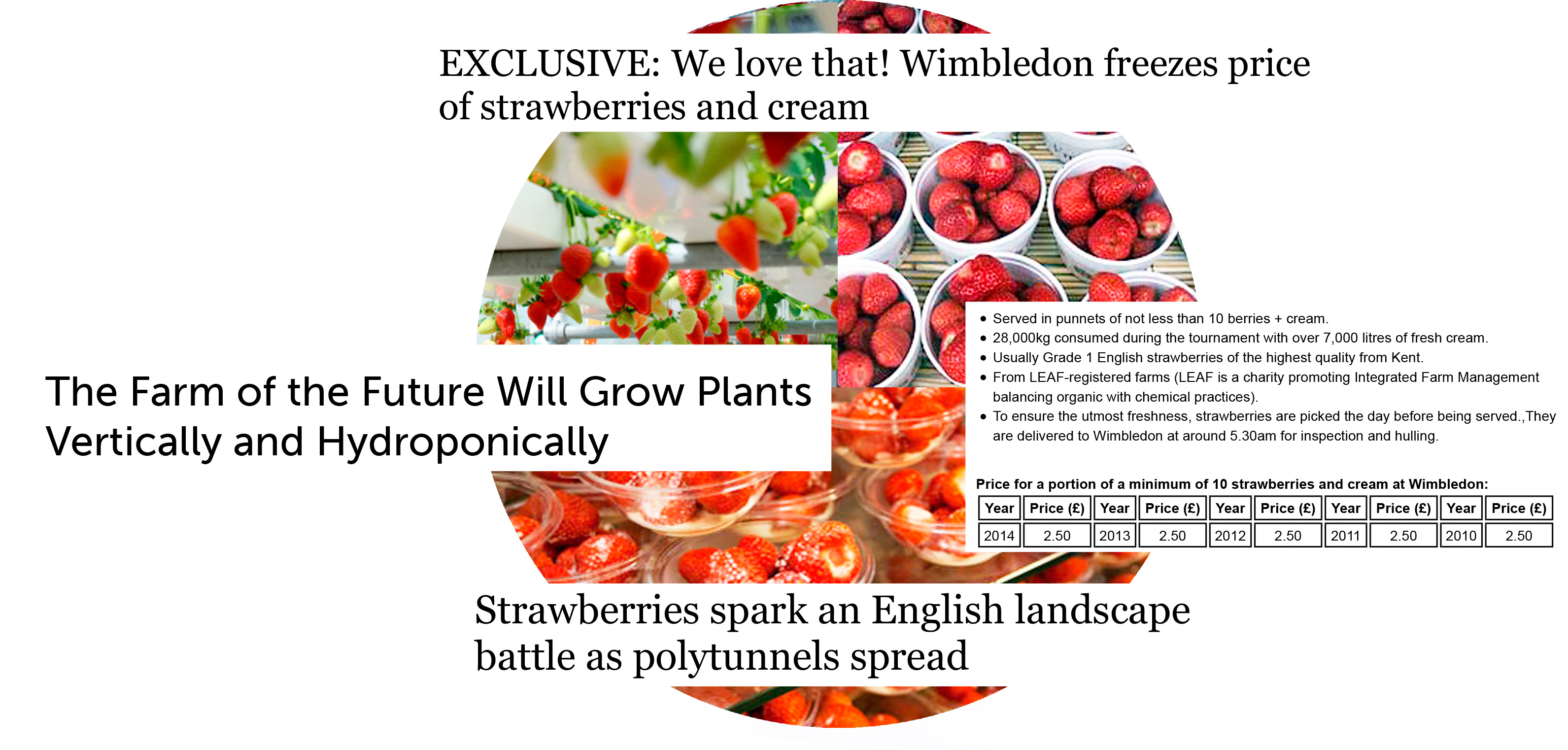 Wimbledon Strawberries